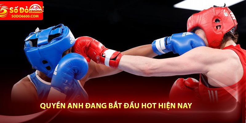 Quyền anh đang bắt đầu hot hiện nay