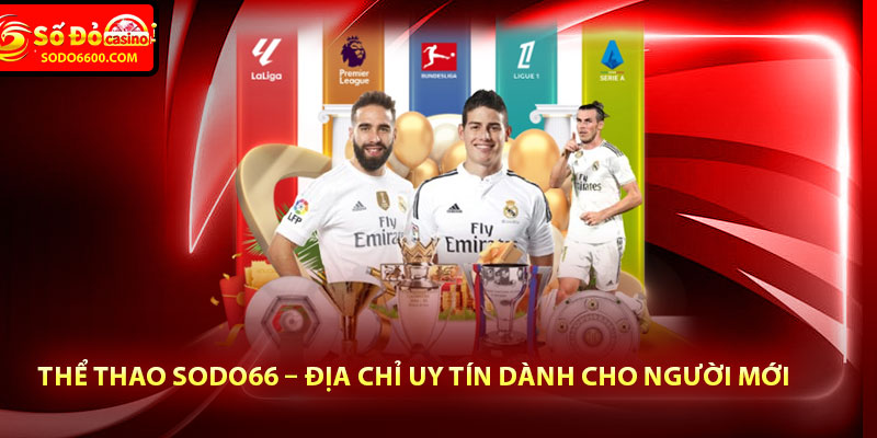 Thể Thao Sodo66 – Địa Chỉ Uy Tín Dành Cho Người Mới